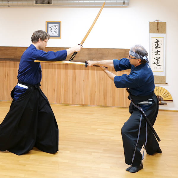 seishin arts-kampfkunstzentrum-japanische-schwertkampfkunst-kenjutsu-wels-linz
