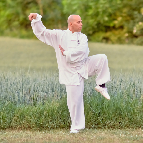 seishin arts-kampfkunstzentrum-taiji-qigong-praeventationstraining-wels-linz