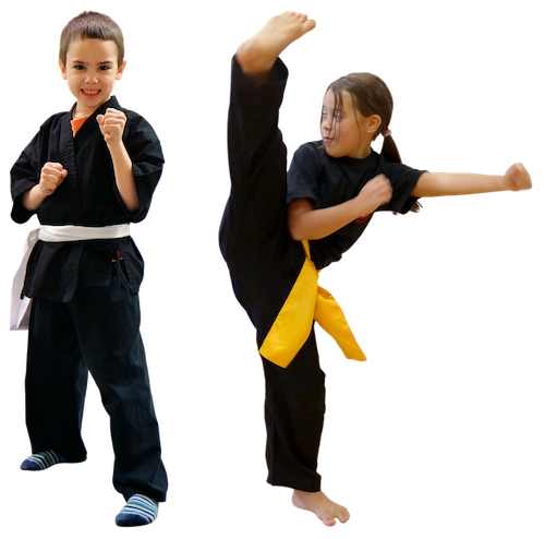 https://www.seishin-arts.at/schnuppern-kungfu-minis-ninja-kids-kinder-jugend-kampfsportkurse-wels.html#kindertraining